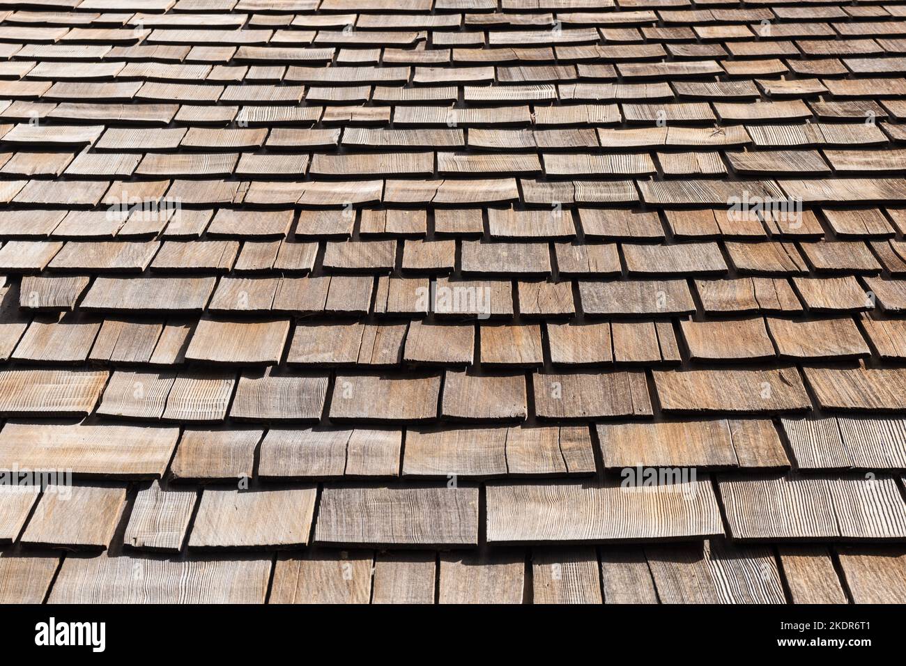 Bardeaux de toit en cèdre patiné sur une cabine de montagne de Sierra. Banque D'Images
