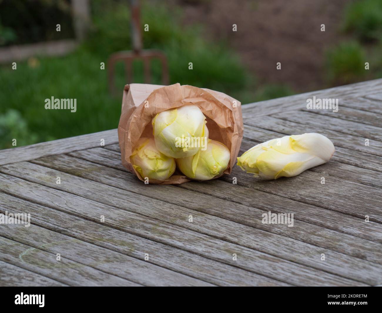 Sac de légumes en papier brun couché avec têtes de chicorée endive sur une table en bois Banque D'Images