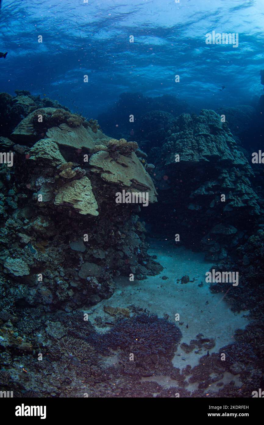 Grottes et paysage sous-marin Banque D'Images