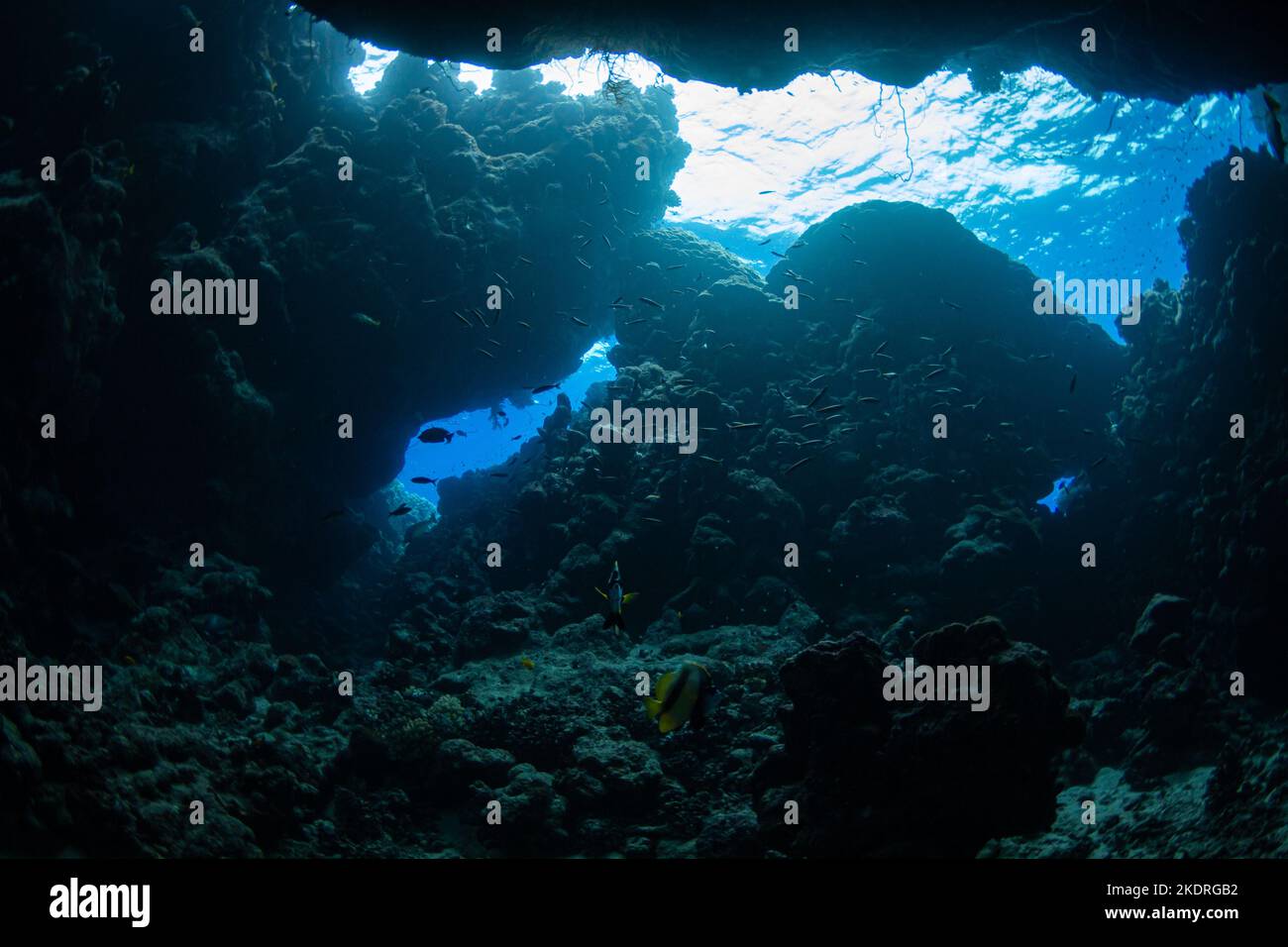 Grottes et paysages tout en plongée dans la mer Rouge Banque D'Images