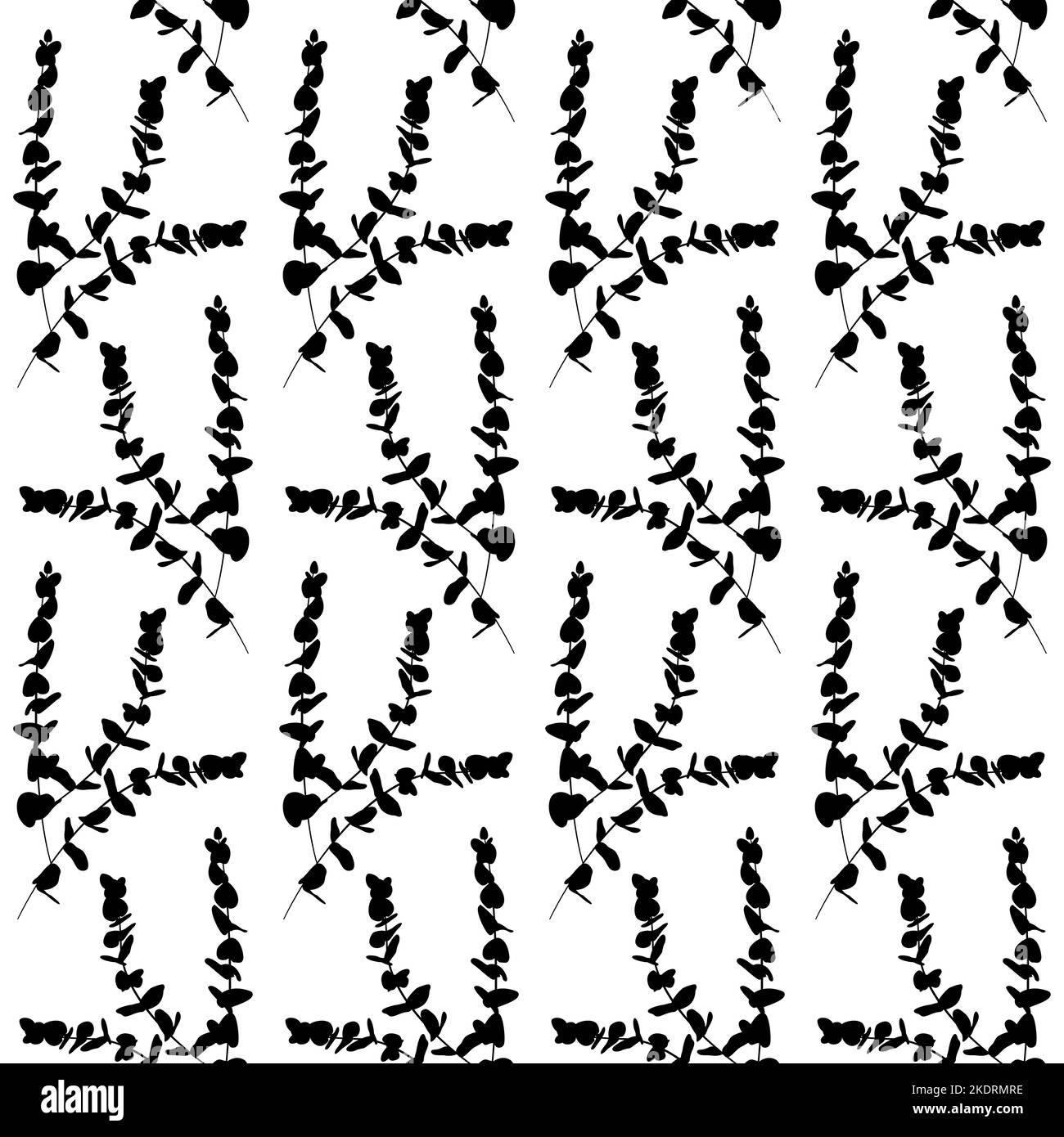 Motif boho sans coutures avec branches d'eucalyptus Illustration de Vecteur