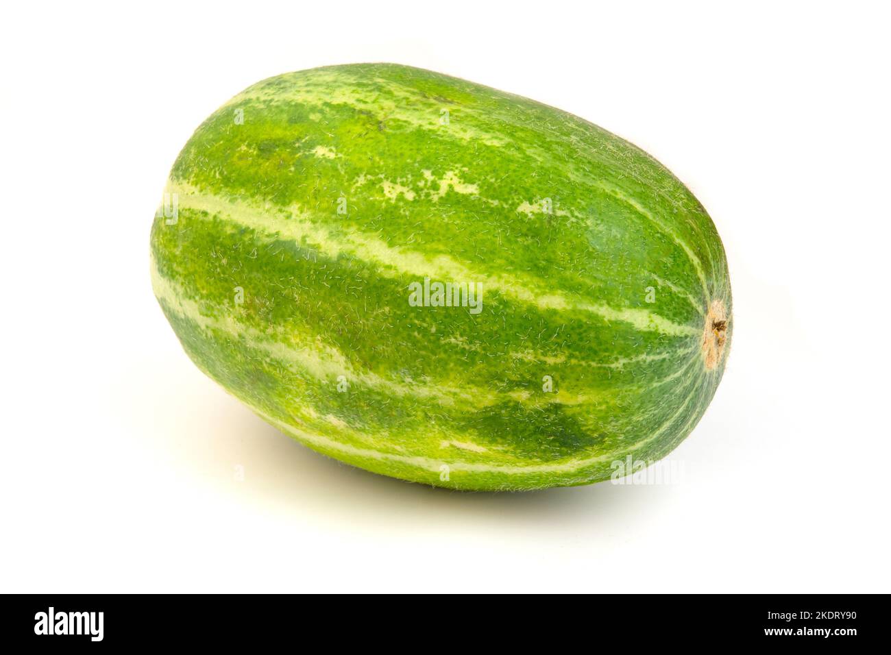 Le Barattiere est une variété de race terrestre de melon musqué (Cucumis melo) trouvée dans le sud de l'Italie. Il est commun dans la région des Pouilles en Italie et dans la région Banque D'Images