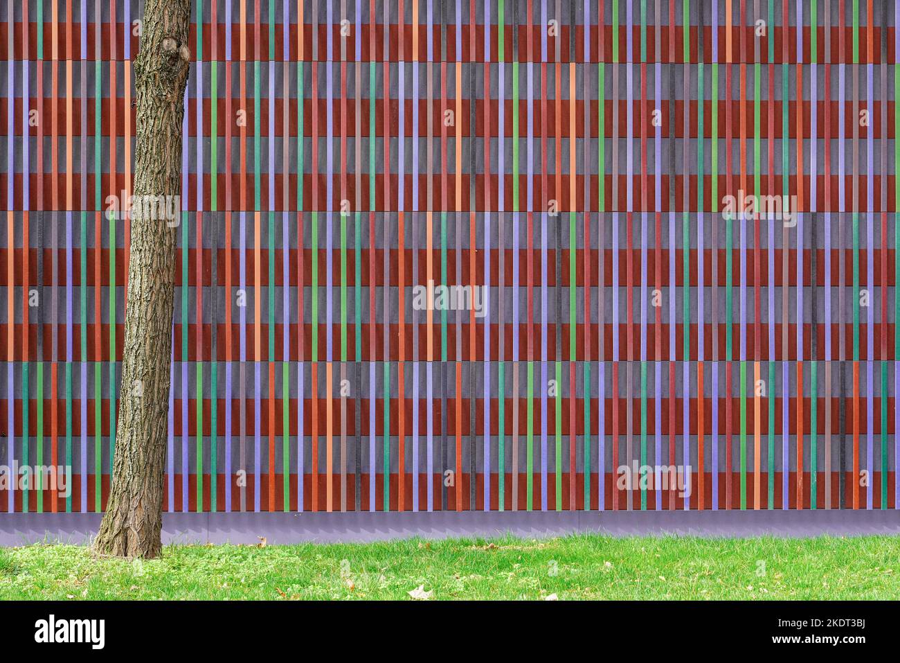 Le musée Brandhorst d'art moderne et contemporain de Munich présente une façade colorée. Les architectes Louisa Hutton et Matthias Sauerbruch. Banque D'Images