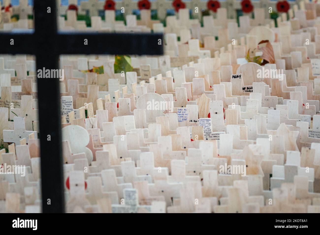 Londres, Royaume-Uni. 08th novembre 2022. Les bénévoles et les aidants ont commencé à mettre en place les petites croix et les coquelicots en bois. Le champ du souvenir de l'abbaye de Westminster, commémore ceux qui ont perdu la vie dans les Forces armées. Credit: Imagetraceur/Alamy Live News Banque D'Images