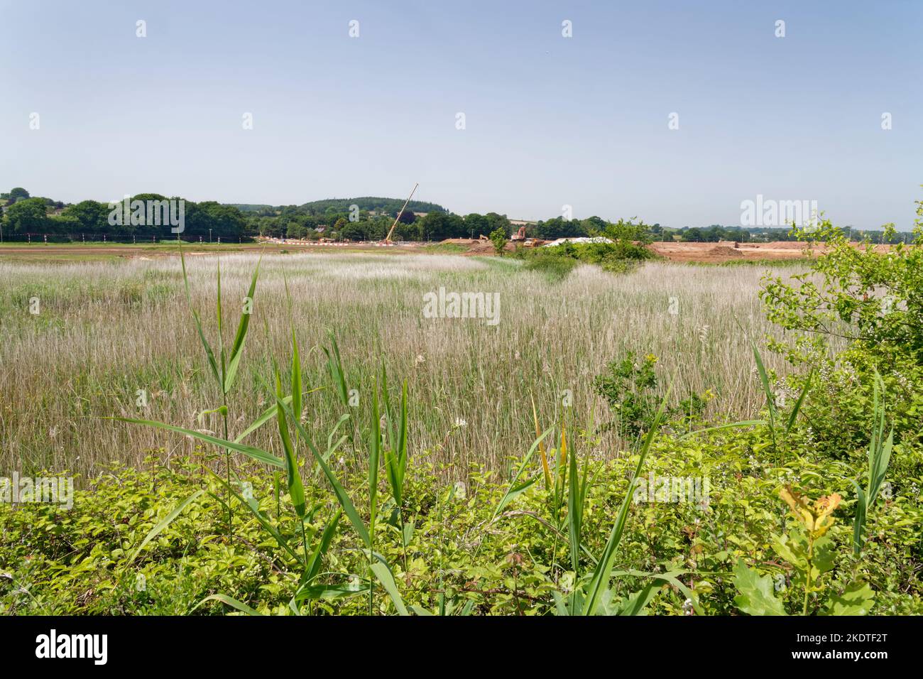 Construction en cours pour le projet de restauration de la basse-Otter créant une vaste zone de marais marécageuses pour améliorer les inondations dues à la montée du niveau de la mer, Devon, Royaume-Uni Banque D'Images