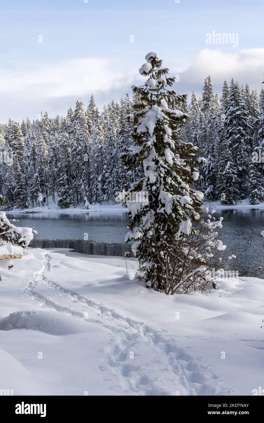 Pistes de raquettes dans la neige le long du lac en hiver Banque D'Images