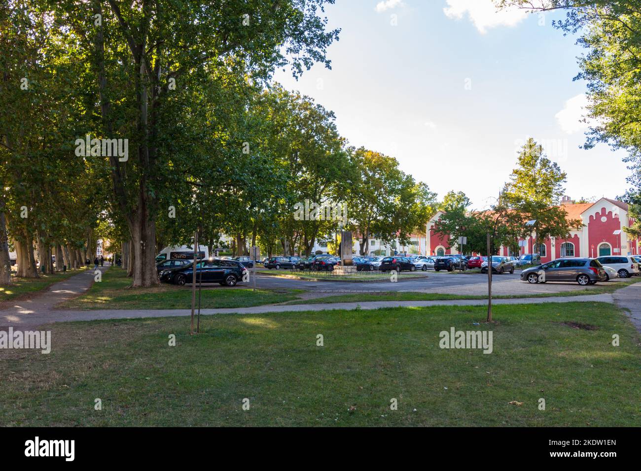 Parc avec grands platanes de Londres (Platanus × acerifolia) et parking, Papret, Sopron, Hongrie Banque D'Images