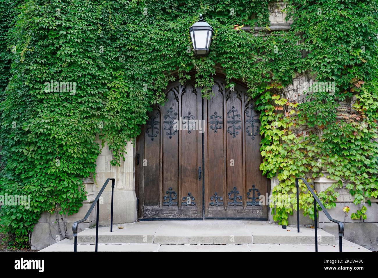 Ancienne porte double en bois de style gothique bâtiment d'université, entourée de lierre épaisse Banque D'Images