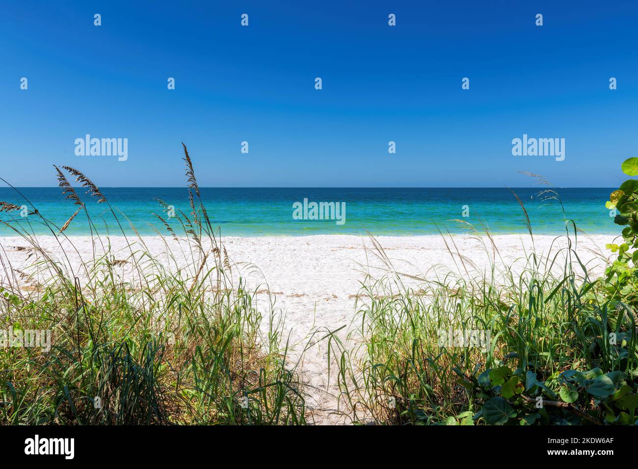 Plage tropicale de sable blanc et mer bleue dans le dau ensoleillé à Miami South Beach, Floride Banque D'Images