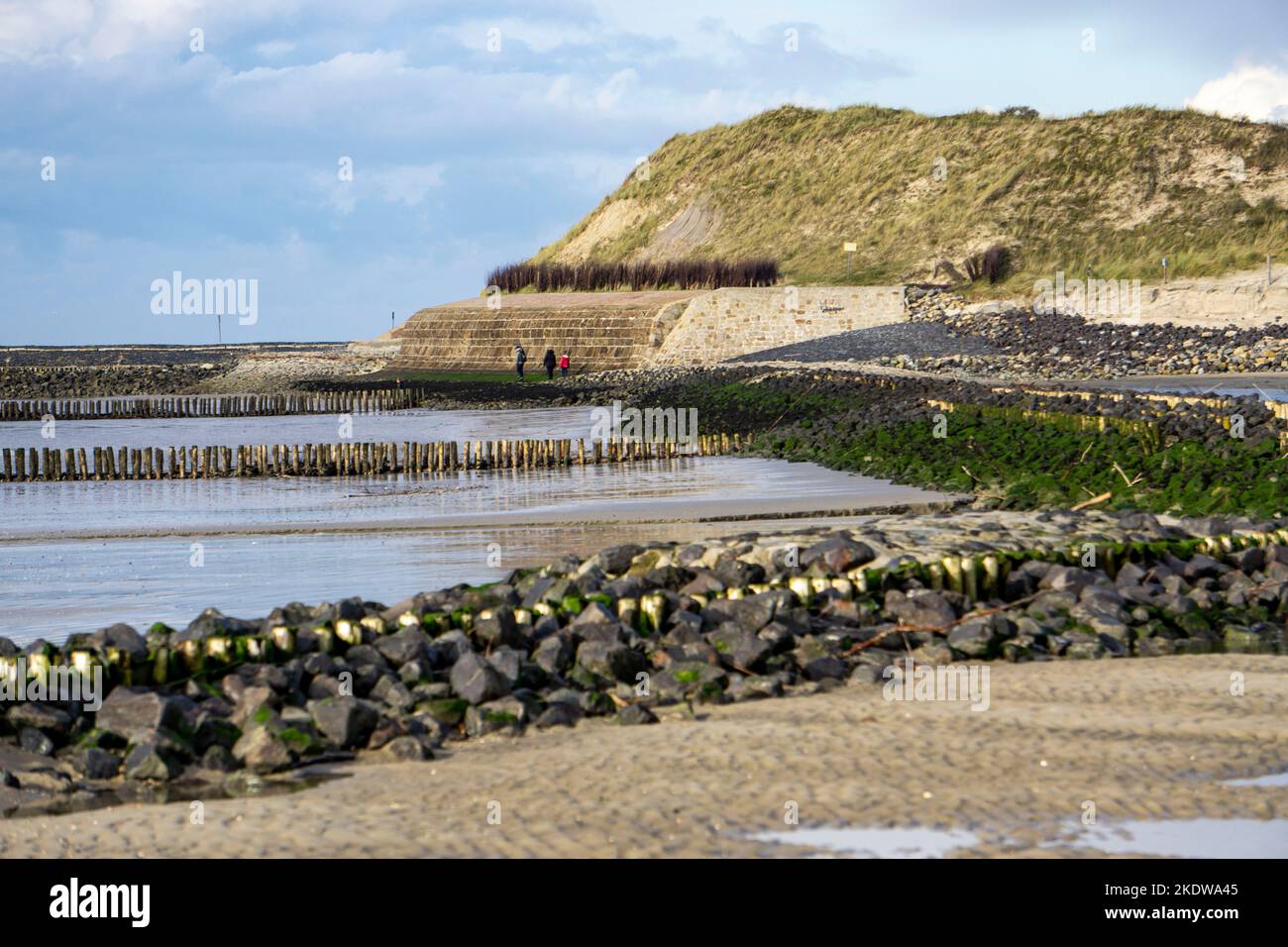 Mer du Nord, île de Spiekeroog, automne, protection côtière à l'ouest de l'île, paysage des dunes, îles de la Frise orientale, Basse-Saxe, Allemagne, Banque D'Images