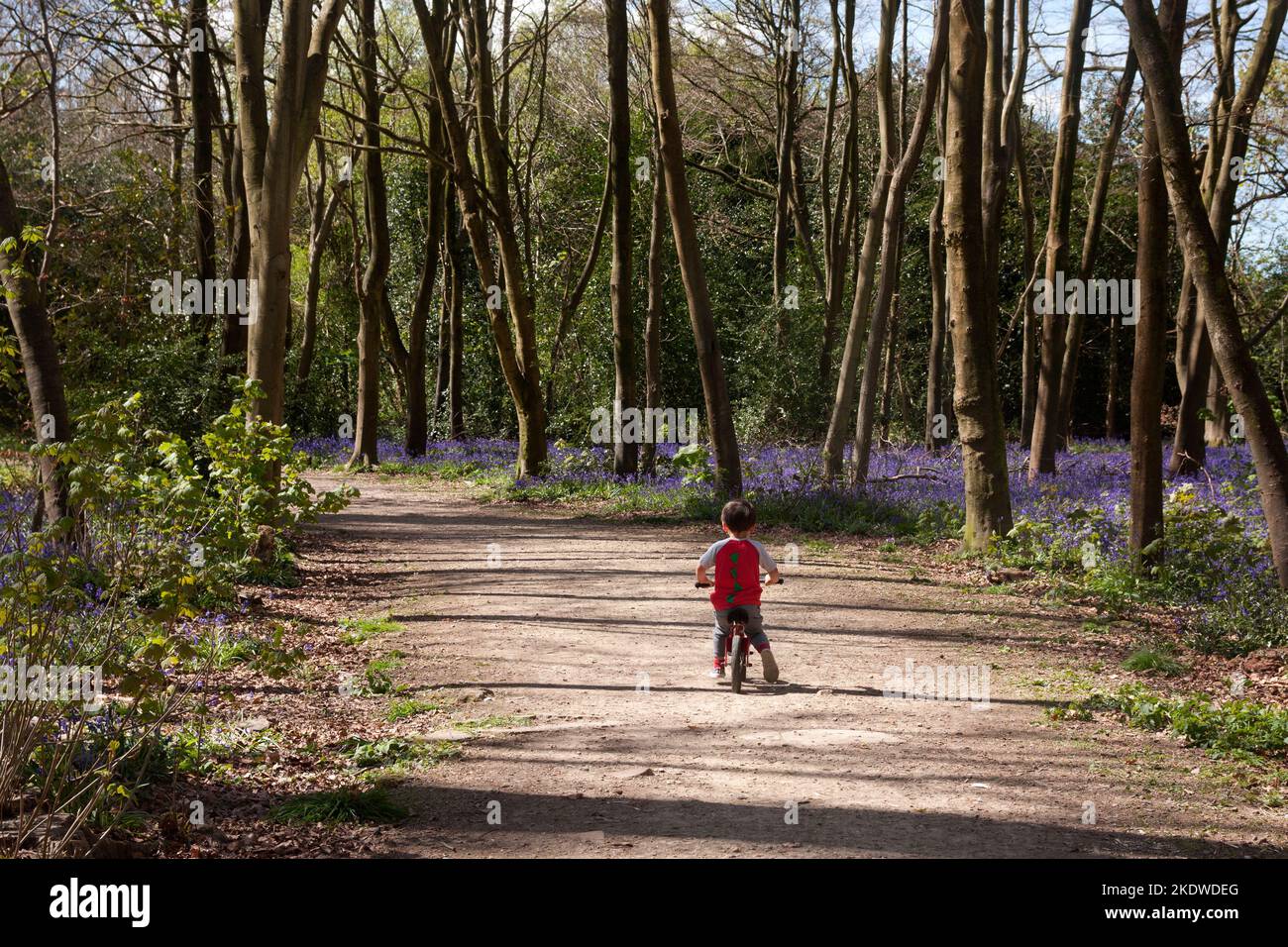 Enfant en moto, bois de Slindon, South Downs, West Sussex, Angleterre Banque D'Images