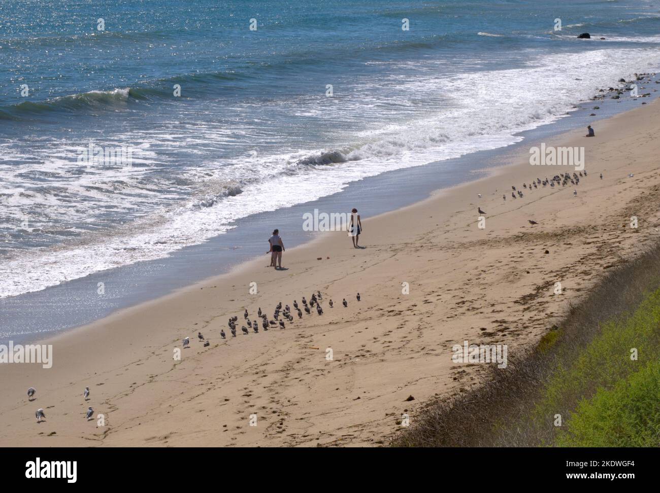 Plage à Malibu, Californie, États-Unis Banque D'Images