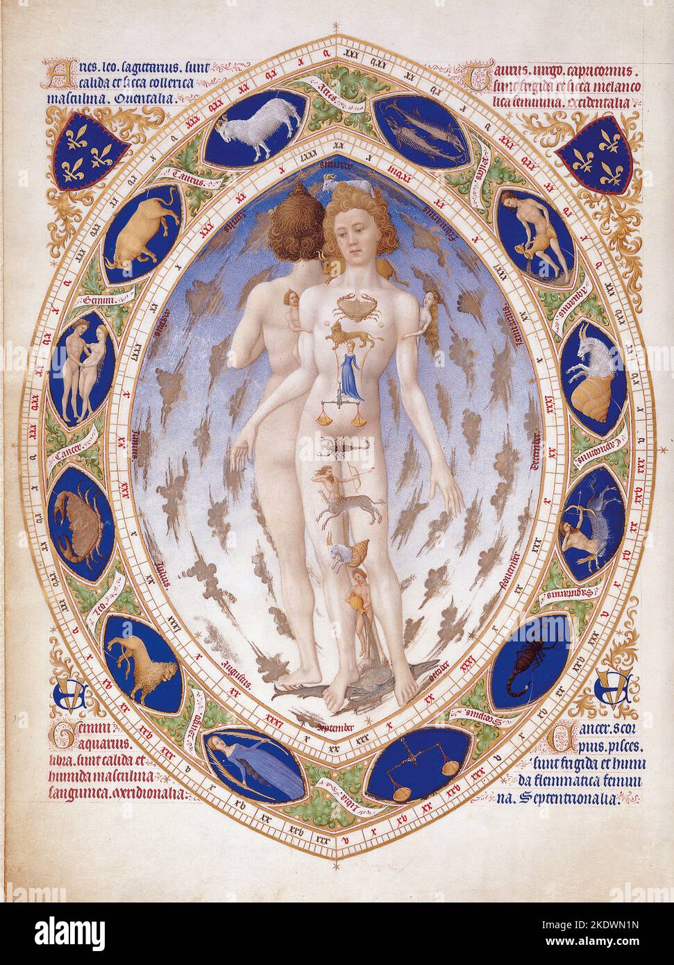 Les Frères Limbourg. Les Tres riches heures du Duc de Berry, 15th siècle français, zodiaque et anatomie de l'homme et de la femme. Banque D'Images