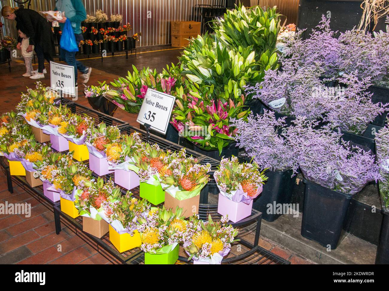 Fleuriste spécialisé au marché central d'Adélaïde, Australie méridionale Banque D'Images