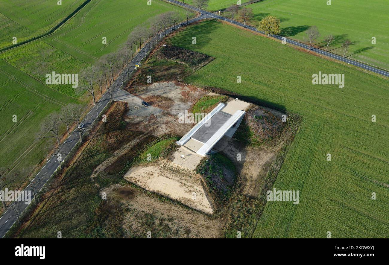 08 novembre 2022, Brandebourg, Cottbus : chantier de construction d'un pont du contournement de Cottbus (vue aérienne avec un drone). Les travaux sur la section de circulation 2nd de la voie de contournement de Cottbus sont en cours depuis le début de 2021. Cela créera la connexion réseau de la section de trafic 1st déjà terminée à l'Autoroute A 15. La section de construction a une longueur d'environ 8,2 kilomètres et s'étend de la jonction de la route nationale 49 avec la route fédérale 168 à la nouvelle jonction de l'Autoroute A 15 au sud-est de Cottbus. Cela donnera à la région une autre jonction d'autoroute. La nouvelle moto Banque D'Images