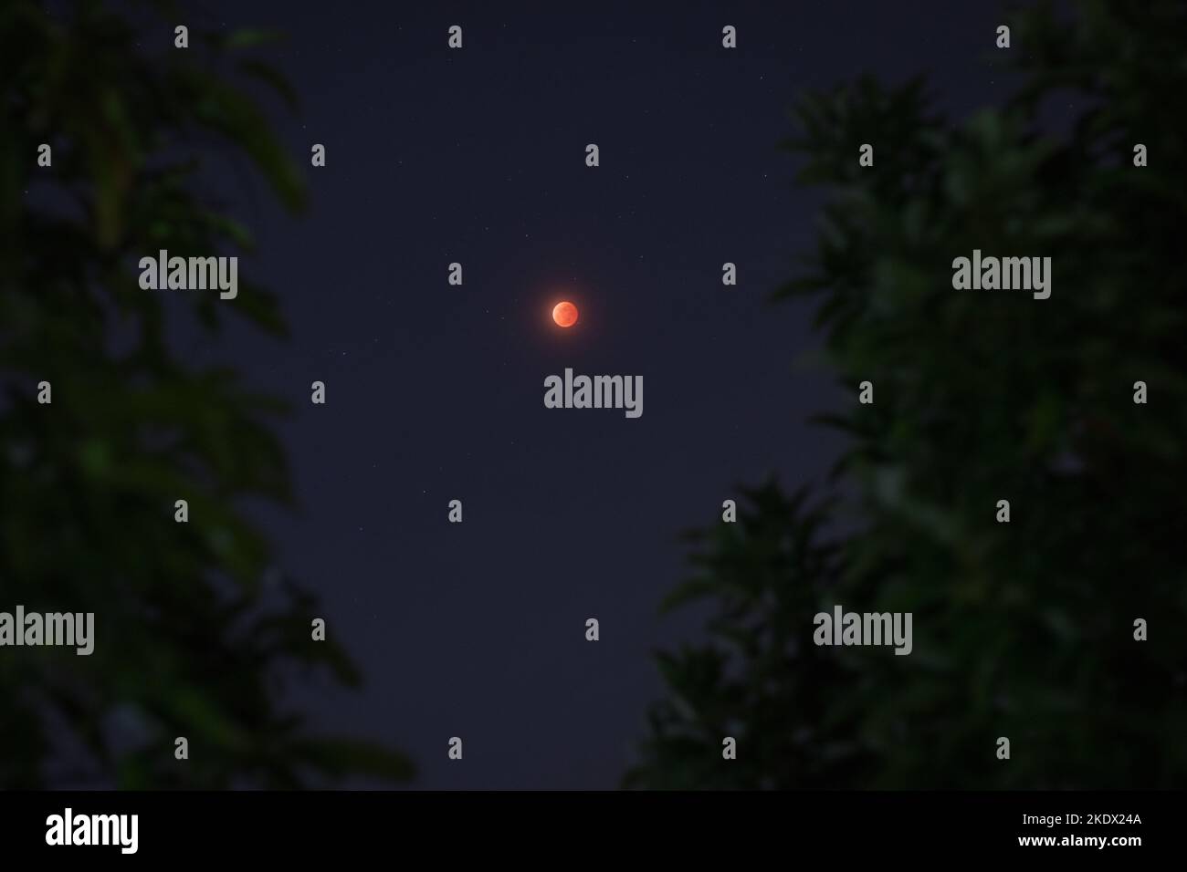 Éclipse lunaire de la totalité sur 8 novembre 2022, vue de la ville d'Iloilo, Philippines, Asie Banque D'Images