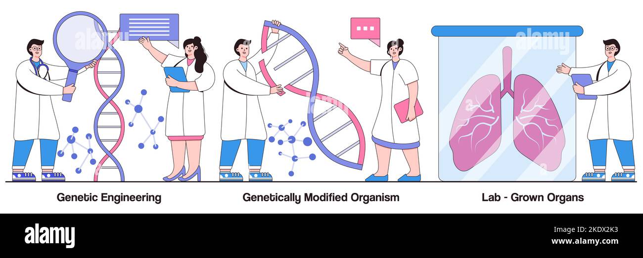Génie génétique, organisme génétiquement modifié, organes cultivés en laboratoire concept avec le caractère des personnes. Jeu d'illustrations vectorielles de bioingénierie. ADN manipu Illustration de Vecteur
