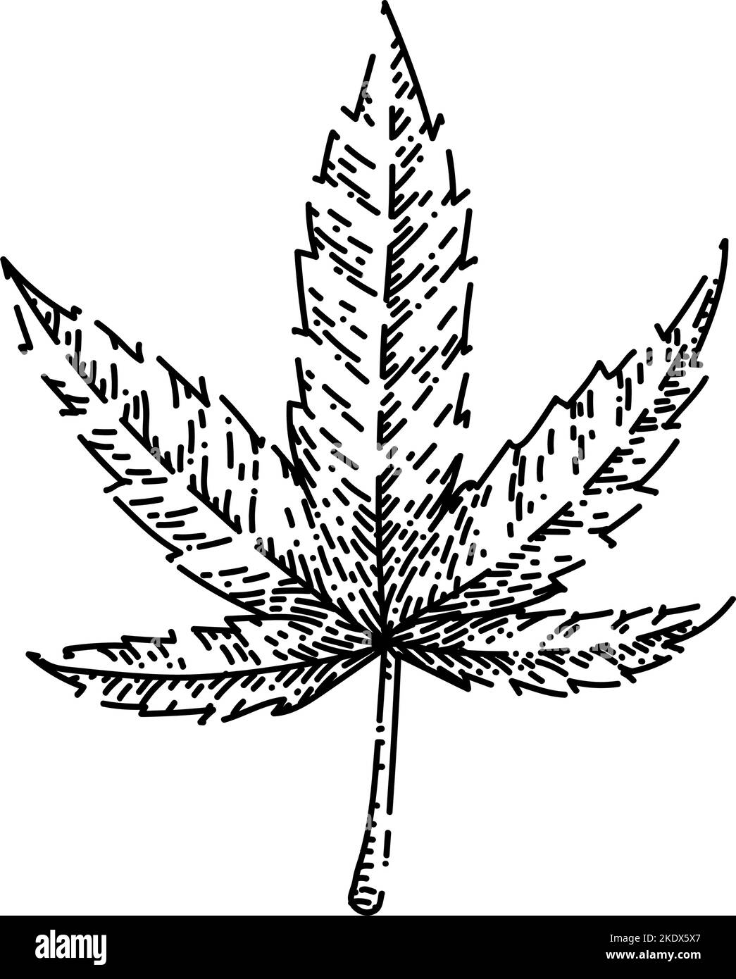 esquisse de plante de cannabis vecteur dessiné à la main Illustration de Vecteur