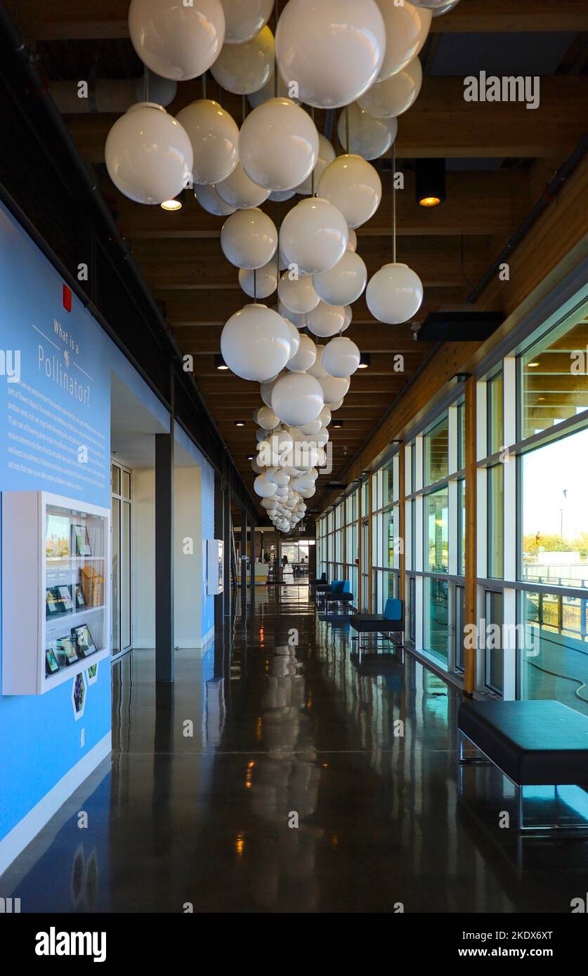 Calgary, Alberta / Canada - octobre 01 2022 : perspective de l'intérieur au centre d'accueil du parc Ralph Klein Banque D'Images