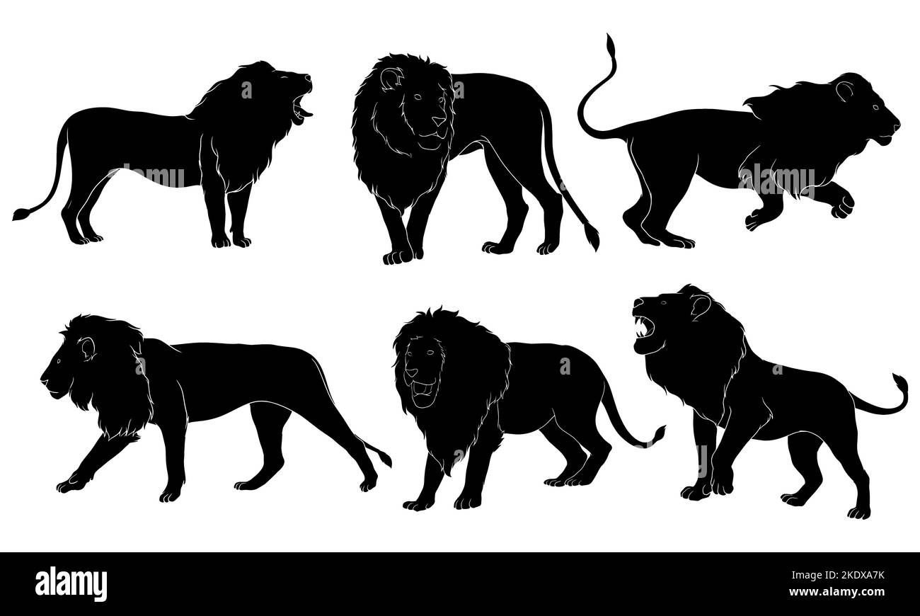 Silhouette de lion mâle dessinée à la main Illustration de Vecteur