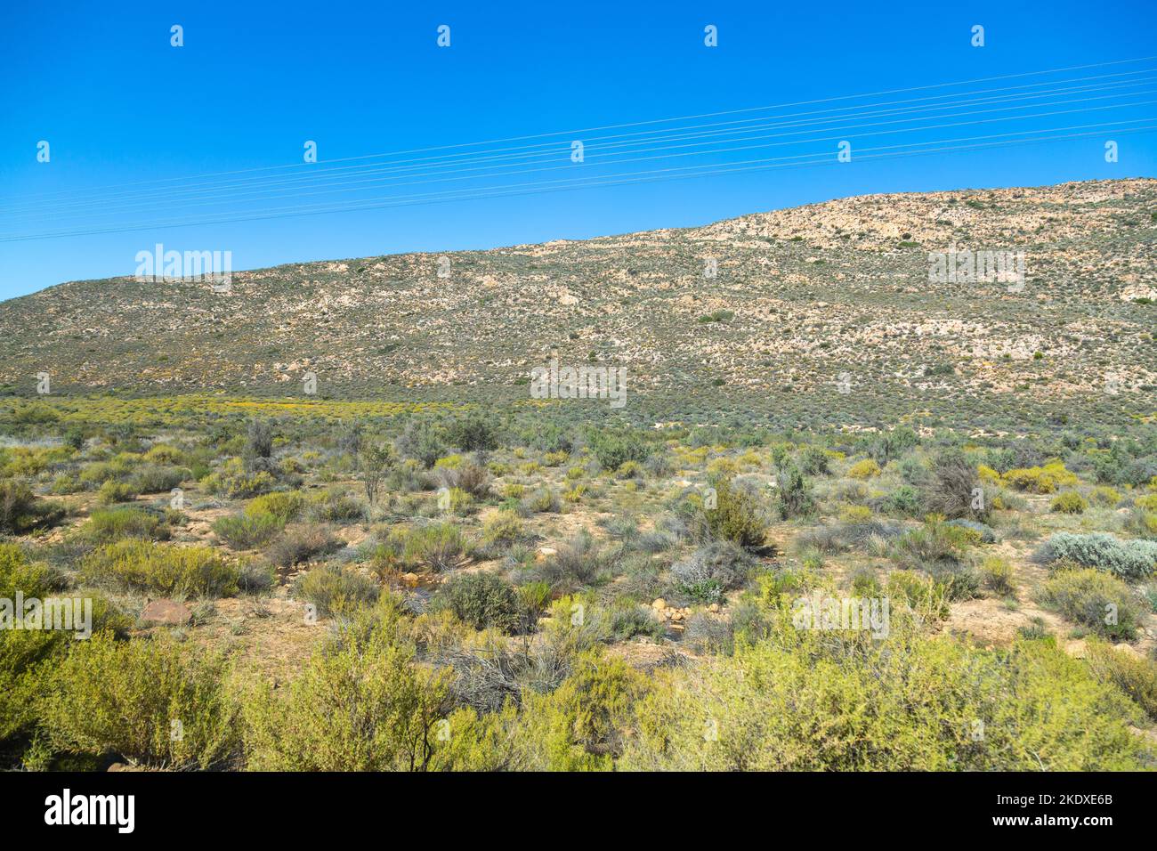 Traversée des montagnes de Cederberg par une journée ensoleillée avec un ciel bleu Banque D'Images