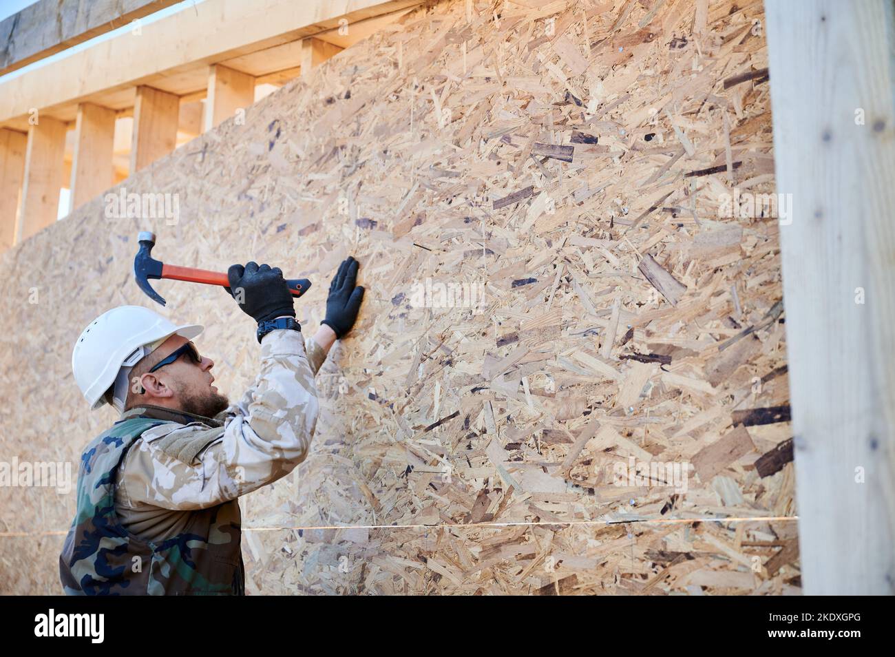 Menuisier martelant l'ongle dans le panneau OSB sur le mur du futur chalet. Homme ouvrier bâtiment maison en bois cadre. Conception de la menuiserie et de la construction. Banque D'Images