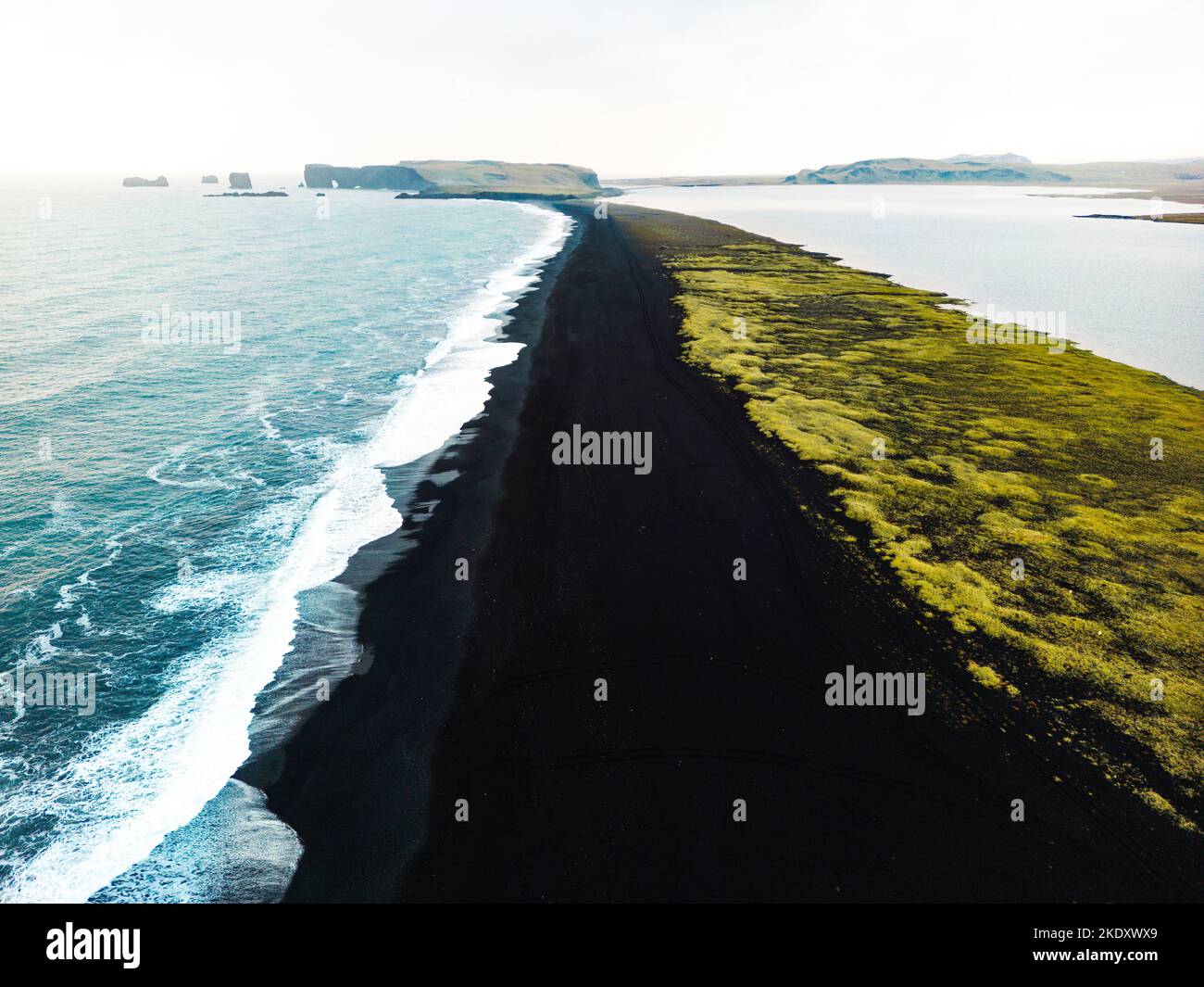 Long littoral de la plage noire de Reynisfjara, Islande Banque D'Images