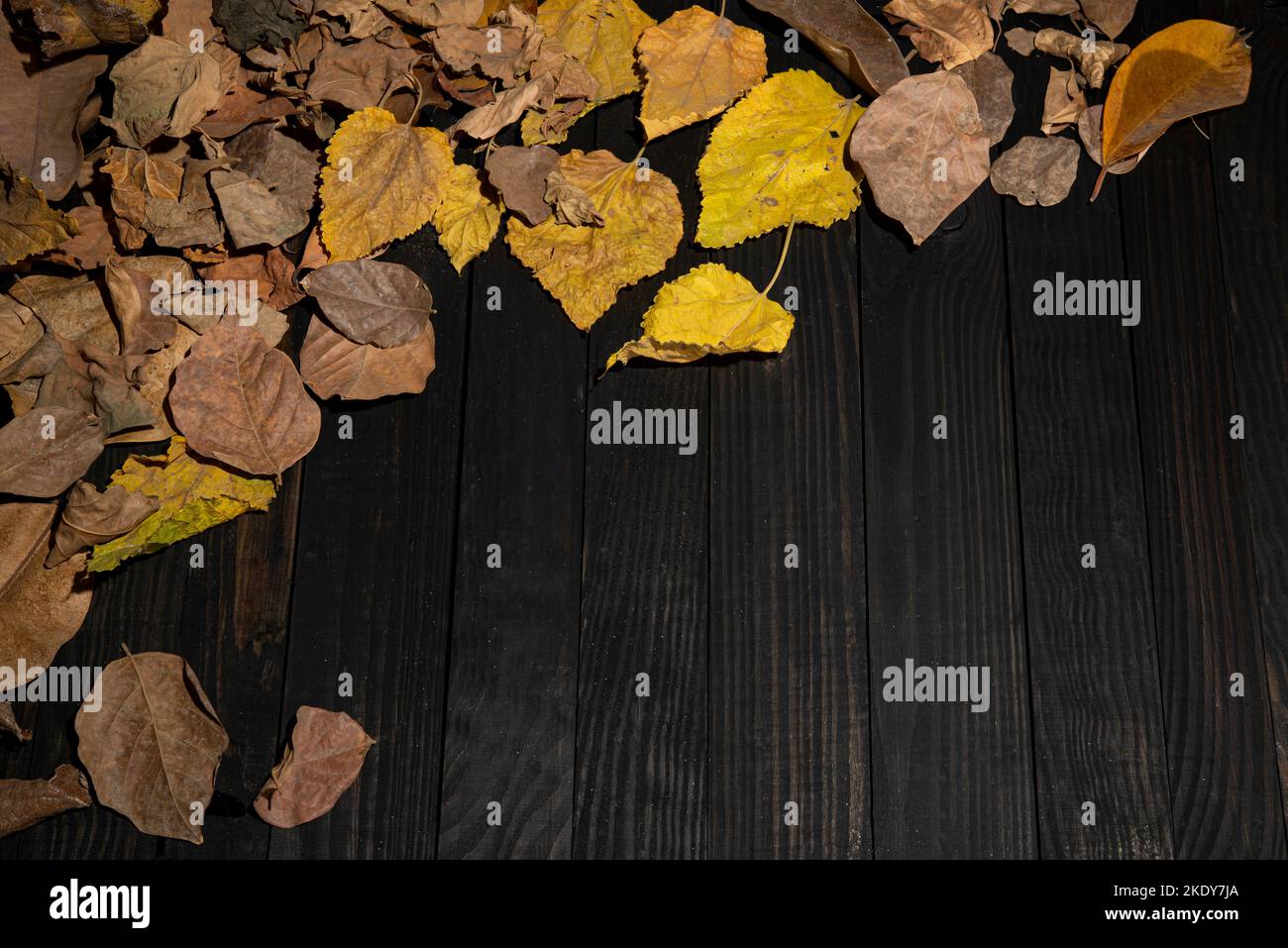 Feuilles d'automne sur table en bois noir avec espace texte. Banque D'Images