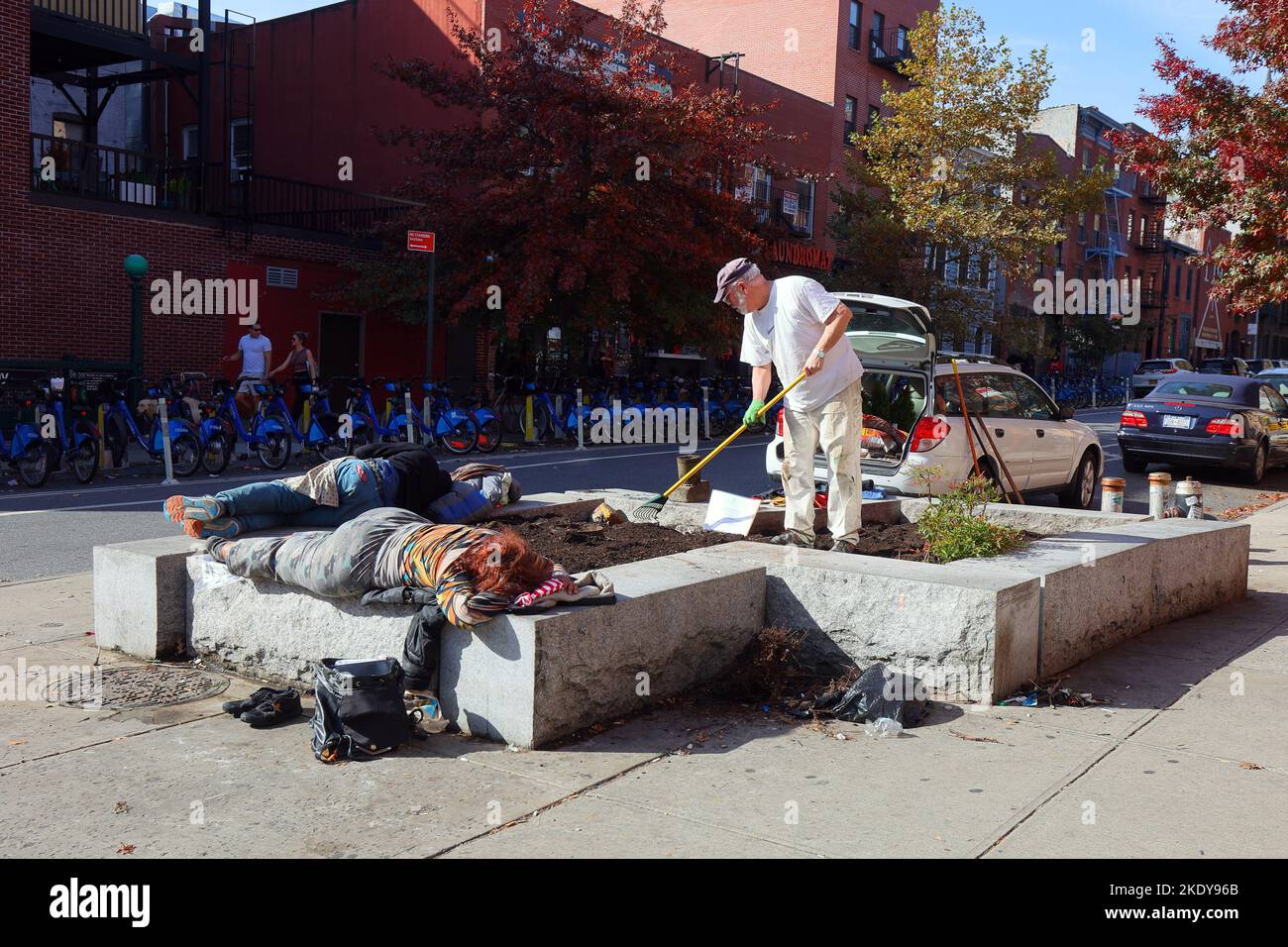 Un jardinier a tendance à un jardinier avec plusieurs personnes qui dorment dessus, dans une rue de Cobble Hill, Brooklyn, New York. Banque D'Images