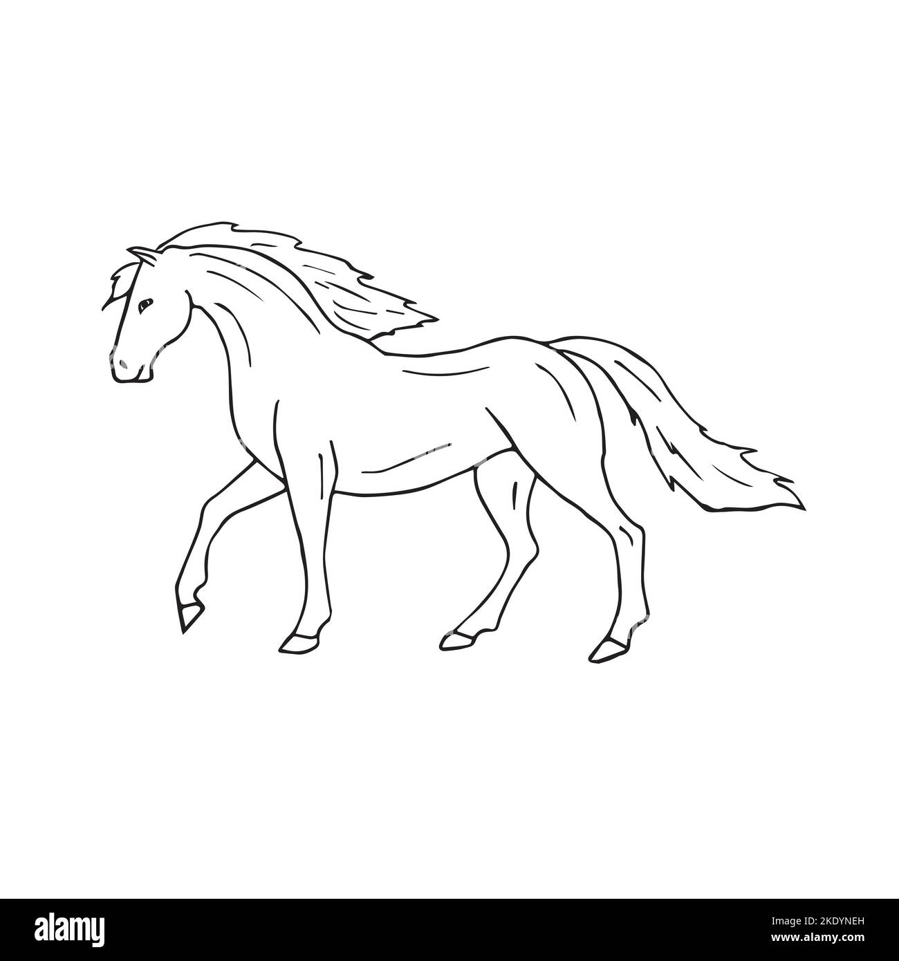 Dessin d'un Doodle vectoriel dessiné à la main pré espagnol cheval isolé sur fond blanc Illustration de Vecteur