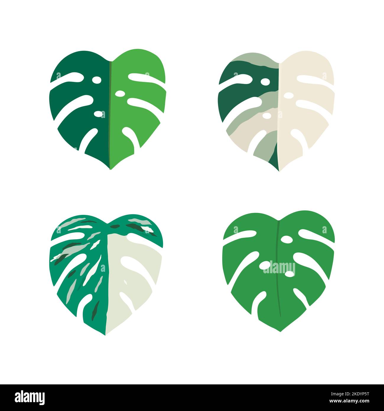 Définir les feuilles de Monstera Variegata. Illustration vectorielle isolée Illustration de Vecteur