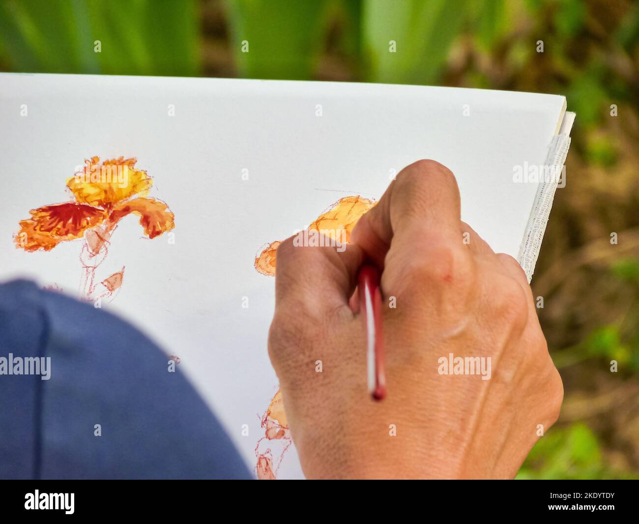 Une personne dessinant de belles fleurs jaunes sur un papier Banque D'Images