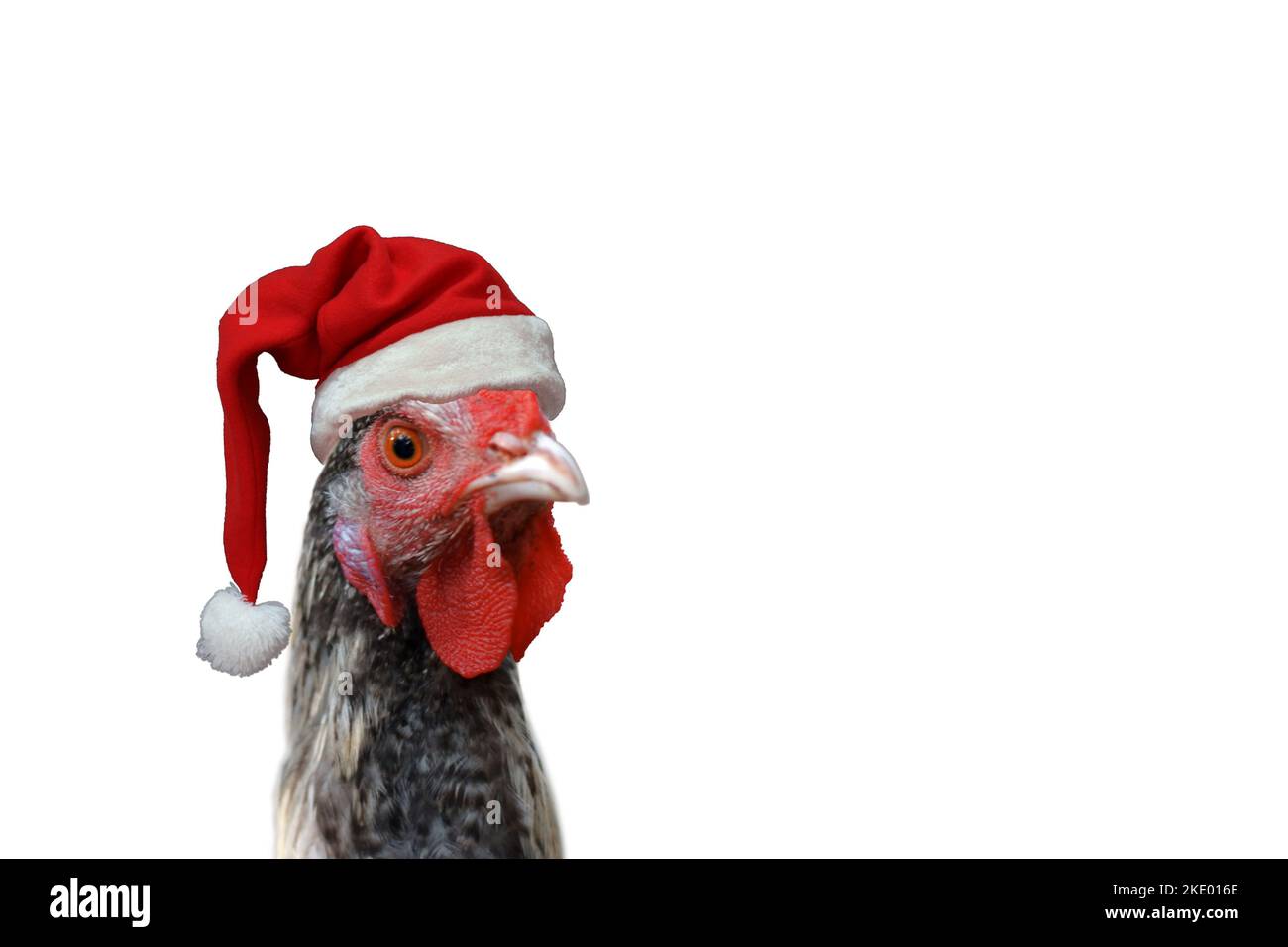 Chapeau de père noël isolé Banque de photographies et d’images à haute