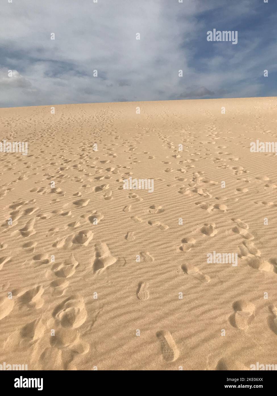 Une belle photo verticale d'un vaste désert vide avec des empreintes sans fin qui disparaissent dans l'horizon sous un ciel nuageux Banque D'Images