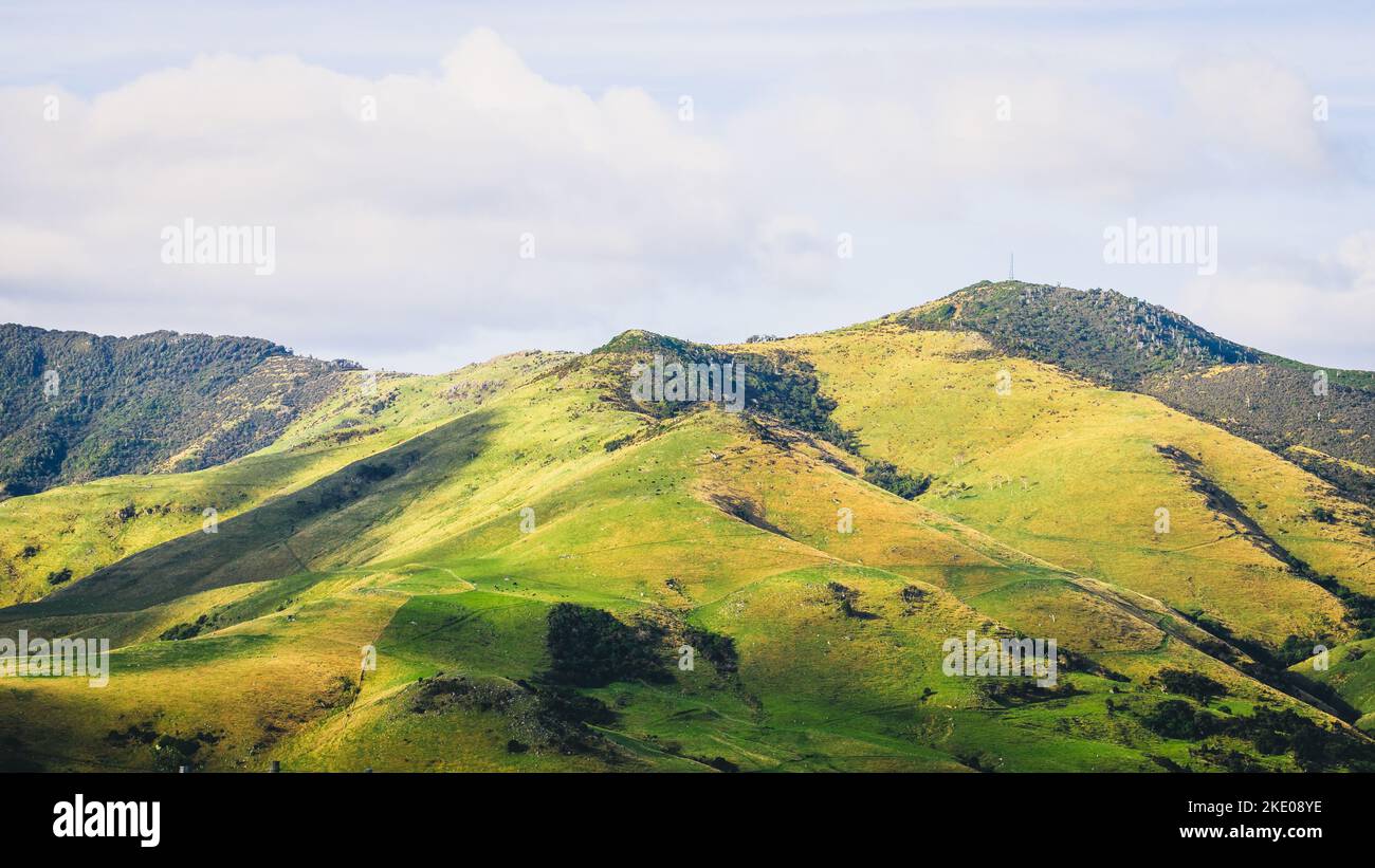 Les hautes collines couvertes d'herbe verte par une journée ensoleillée Banque D'Images