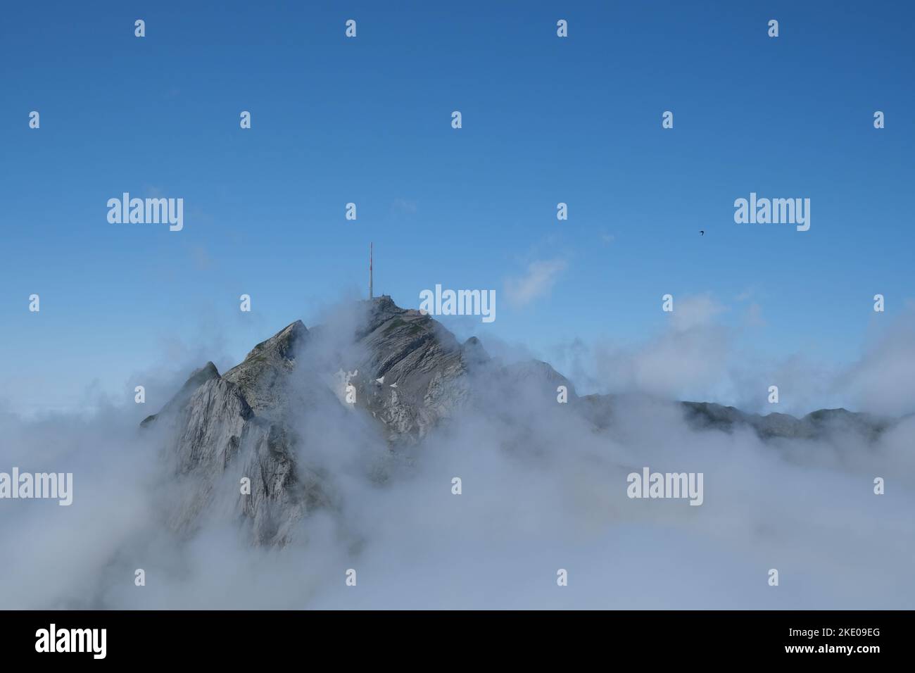 Pic de Säntis, péléchage à travers les nuages, vu de Fliskopf. Banque D'Images