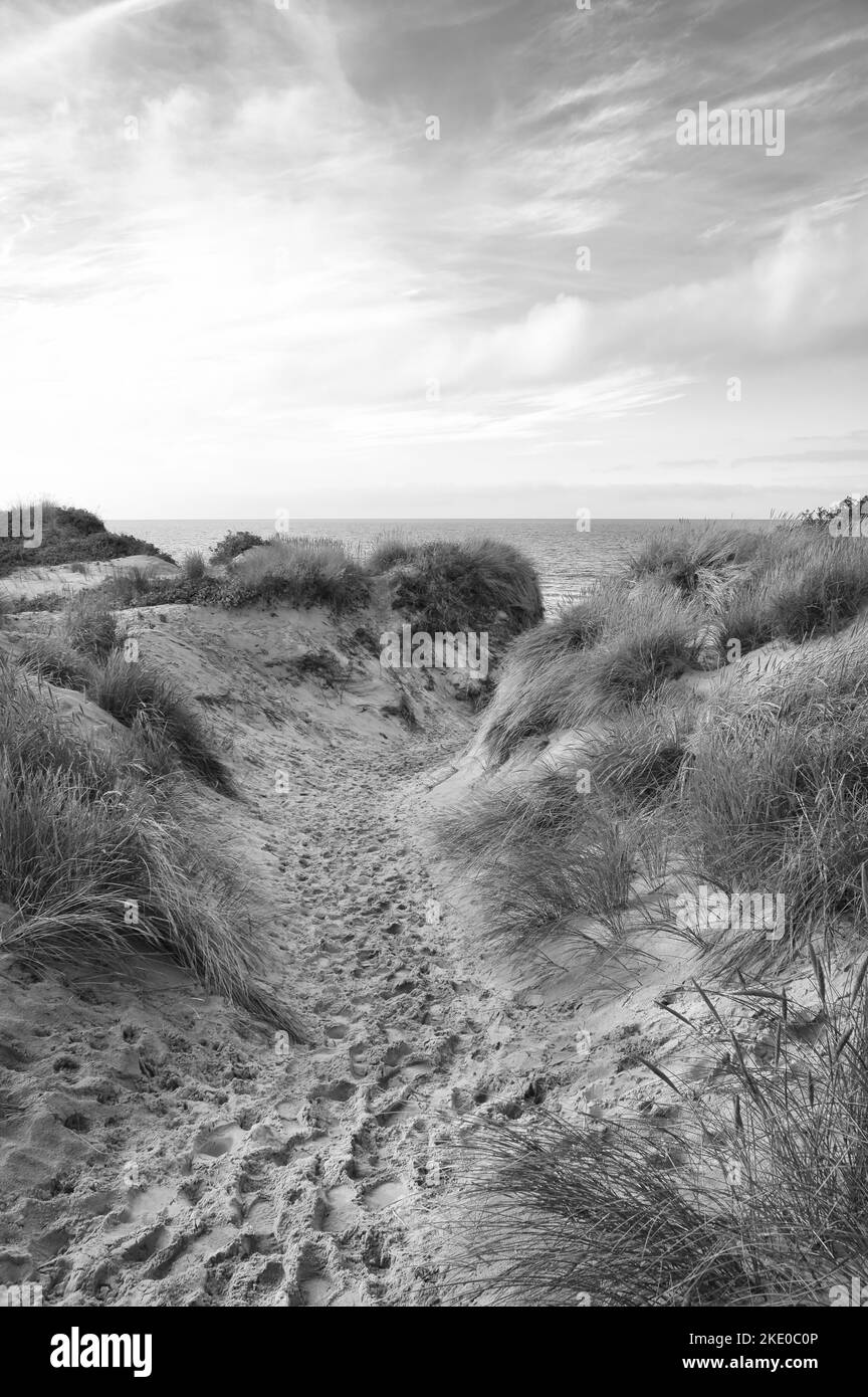 Traversée de la plage au Danemark par la mer prise en noir et blanc. Dunes, eau de sable et nuages sur la côte. Excursion à la mer Baltique. Vacances sur le beac Banque D'Images