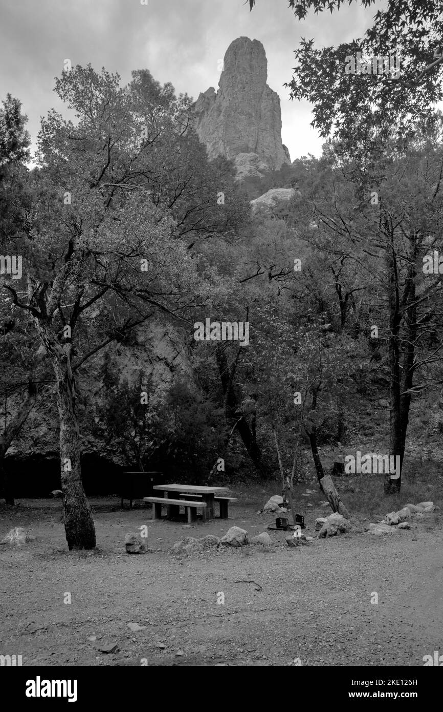 Noir et blanc de la tranquillité naturelle de Cave Creek Canyon au terrain de camping Stewart à Portal, Arizona, États-Unis Banque D'Images