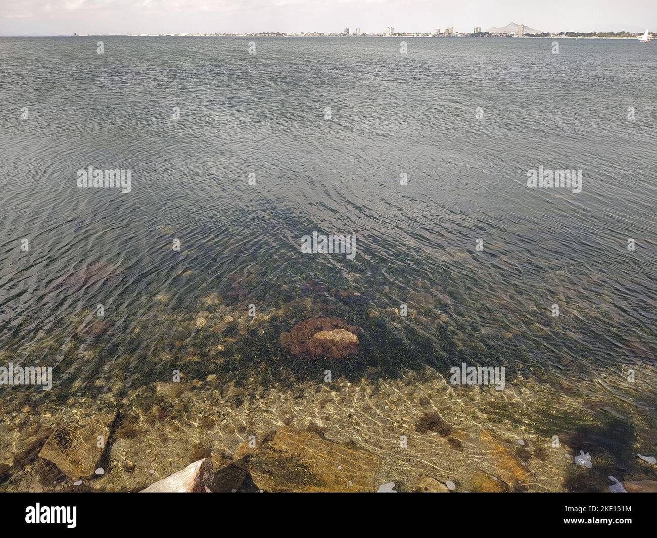 Mar Menor (San Pedro del Pinatar, région de Murcie, Royaume d'Espagne) Banque D'Images