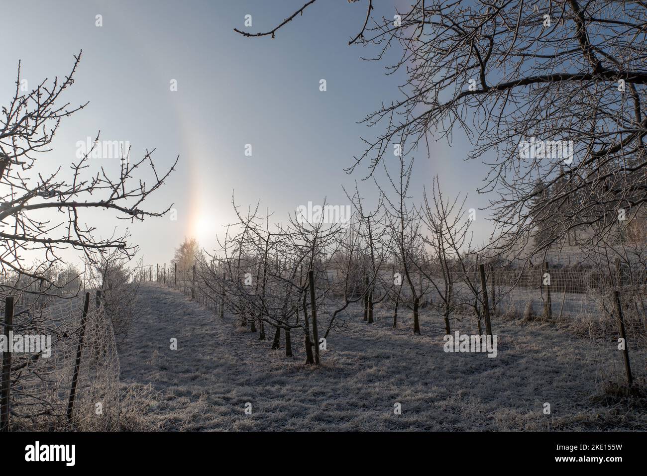 Partie d'un halo circulaire autour du soleil lors d'une journée froide d'hiver. Photo prise dans un verger de la région de Rosalia, au Burgenland, en Autriche. Banque D'Images