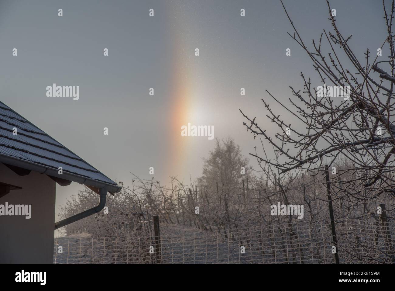Partie d'un halo circulaire autour du soleil lors d'une journée froide d'hiver. Photo prise dans un verger de la région de Rosalia, au Burgenland, en Autriche. Banque D'Images