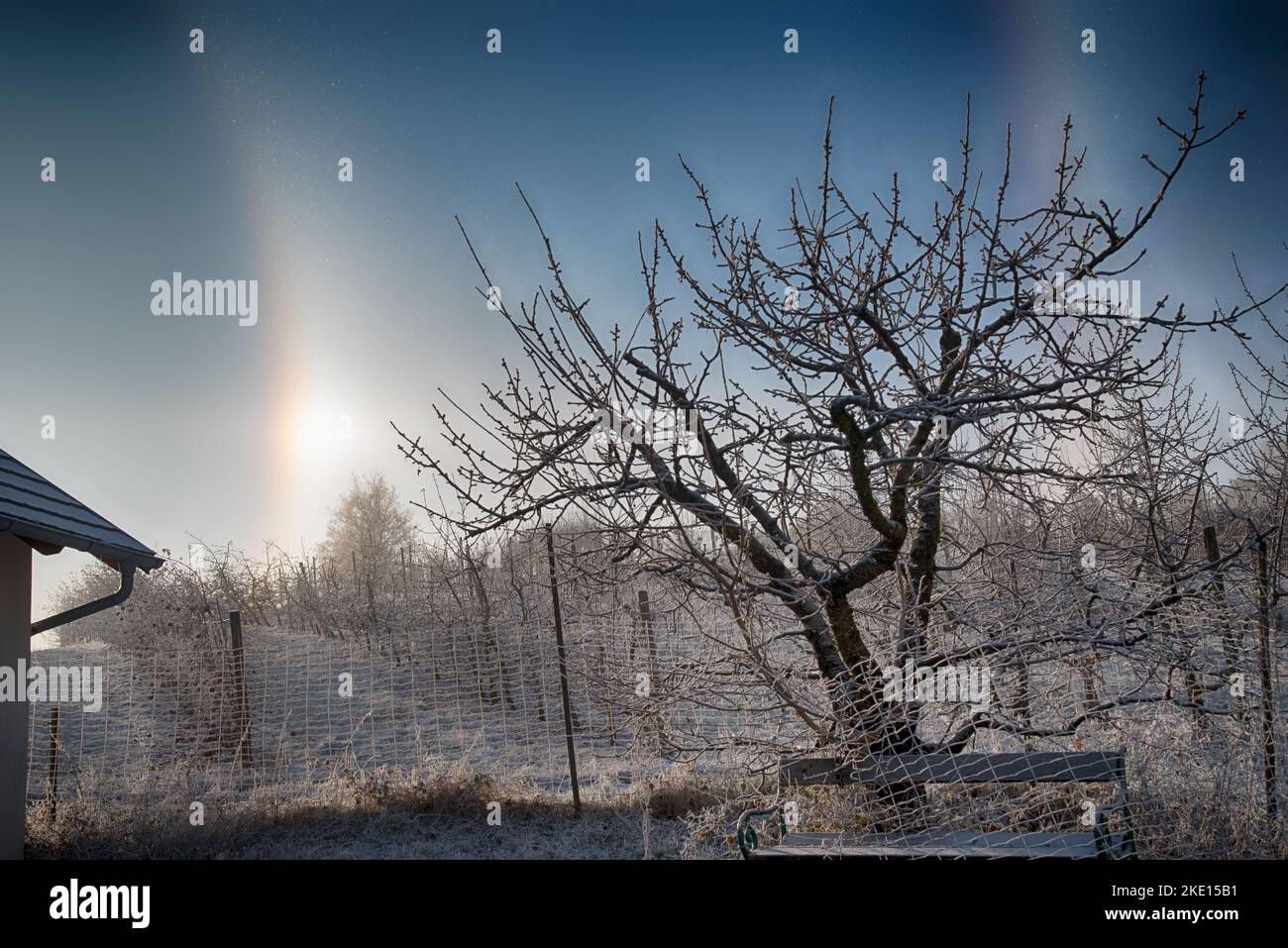 Partie d'un halo circulaire autour du soleil lors d'une journée froide d'hiver. Photo prise dans un verger de la région de Rosalia, au Burgenland, en Autriche. Banque D'Images