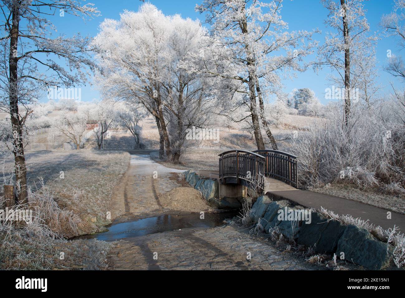 Pont en bois avec arbres et buissons dépolis par temps froid d'hiver. Photo prise dans la région de Rosalia, au Burgenland, en Autriche. Banque D'Images