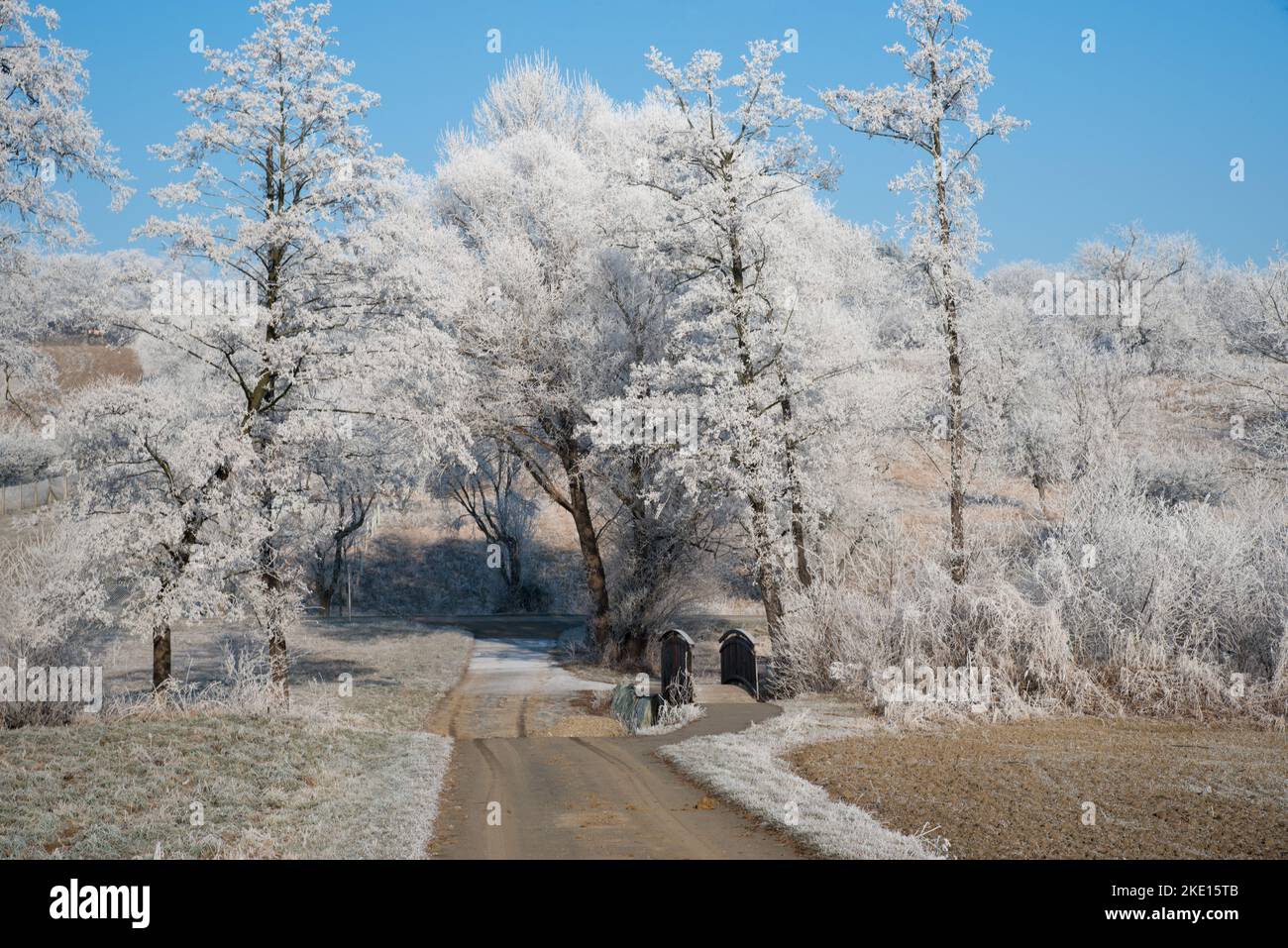 Paysage d'hiver avec gel de hore sur les arbres et les fieds. Photo prise dans la région de Rosalia, au Burgenland, en Autriche. Banque D'Images