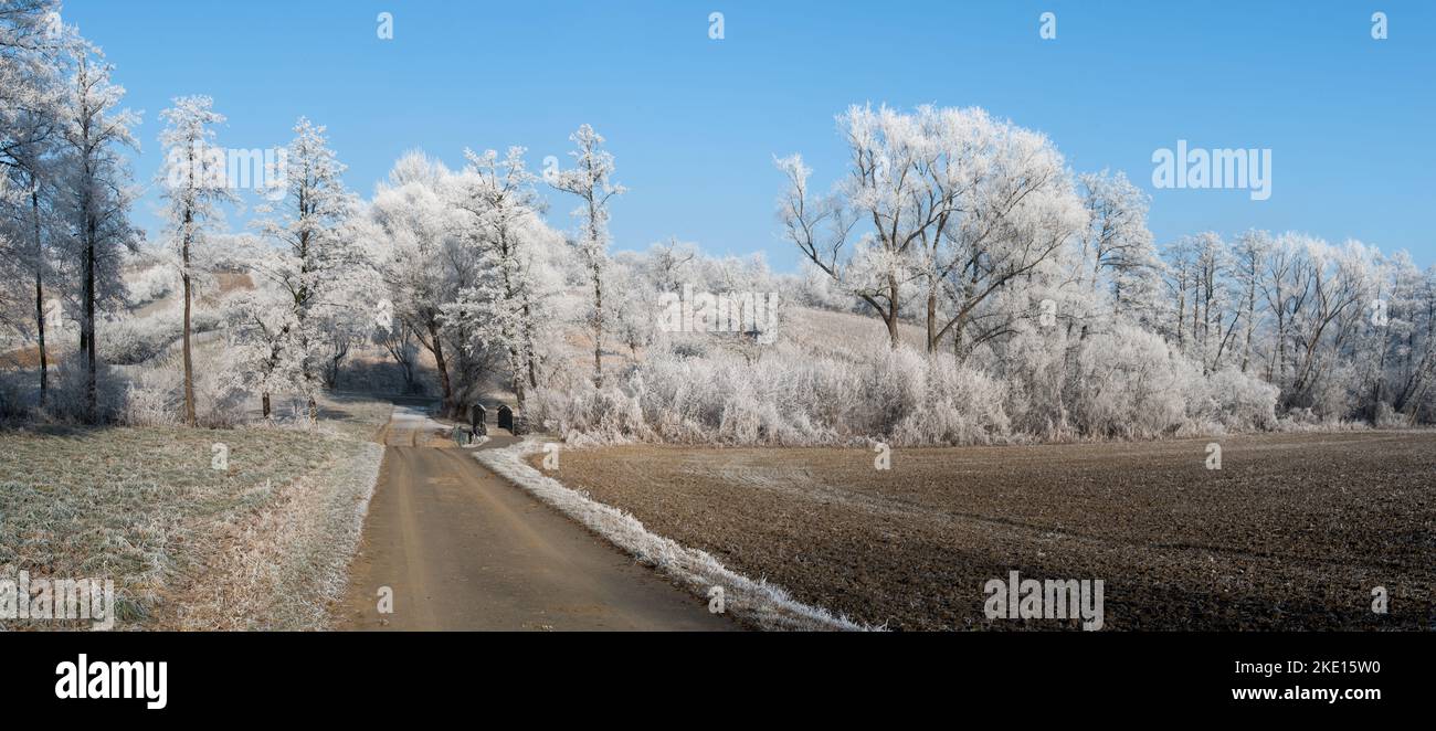 Paysage d'hiver avec givre sur les arbres et les champs. Photo prise dans la région de Rosalia, au Burgenland, en Autriche. Banque D'Images