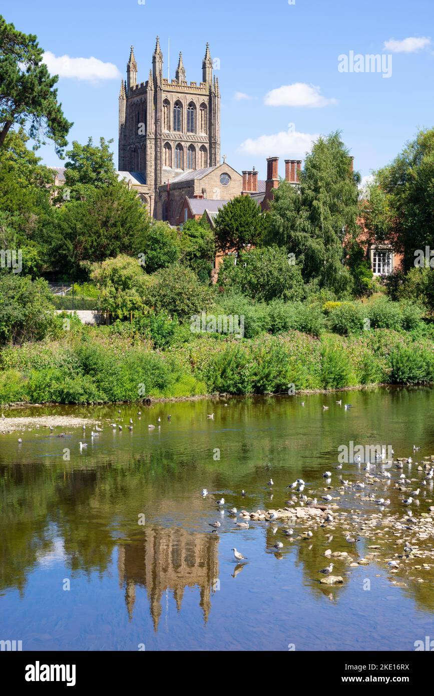 Hereford Cathedral River Wye Hereford Herefordshire Angleterre GB Europe Banque D'Images