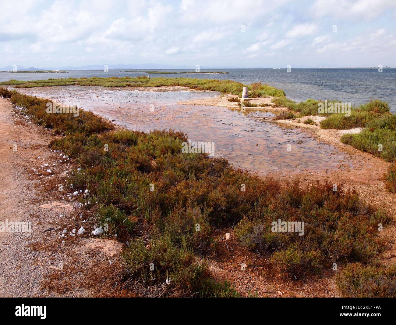 Réserve régionale de las Salinas y Arenales de San Pedro del Pinatar (région de Murcie, Royaume d'Espagne) Banque D'Images