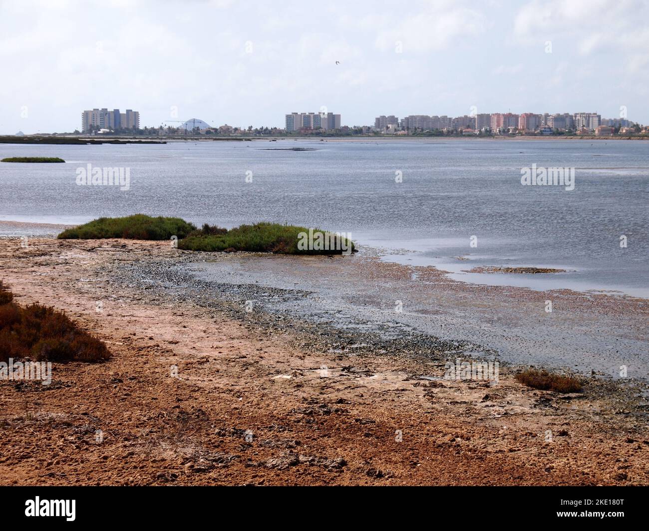 Réserve régionale de las Salinas y Arenales de San Pedro del Pinatar (région de Murcie, Royaume d'Espagne) Banque D'Images