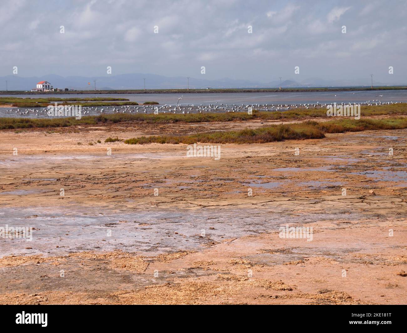 Réserve régionale de las Salinas y Arenales de San Pedro del Pinatar (région de Murcie, Royaume d'Espagne) Banque D'Images