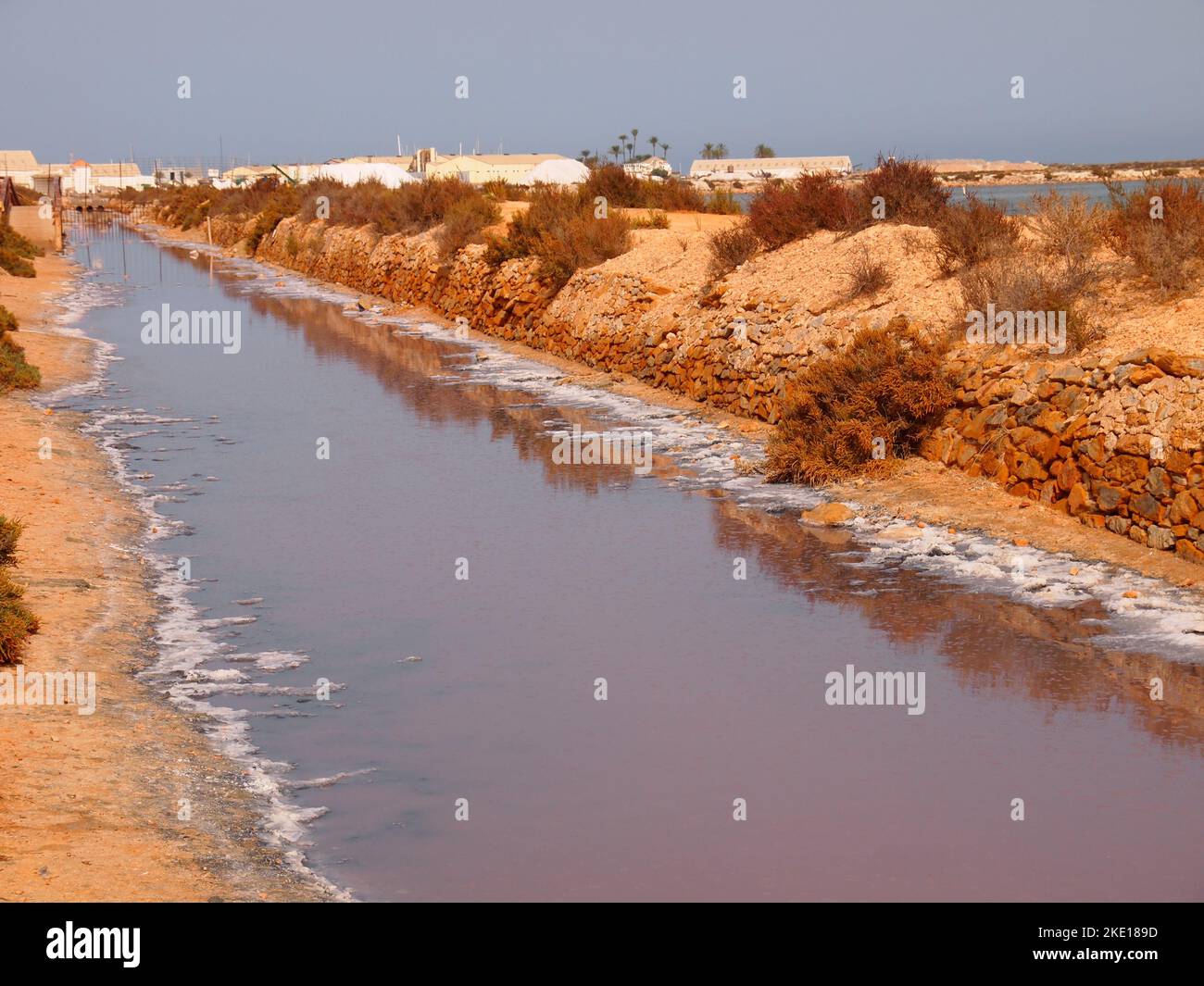 Réserve régionale de las Salinas y Arenales de San Pedro del Pinatar (région de Murcie, Royaume d'Espagne) Banque D'Images